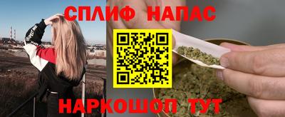 СК Моздок