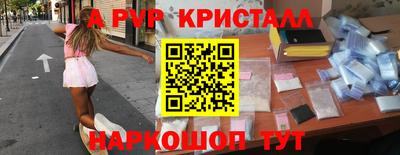 СК Моздок