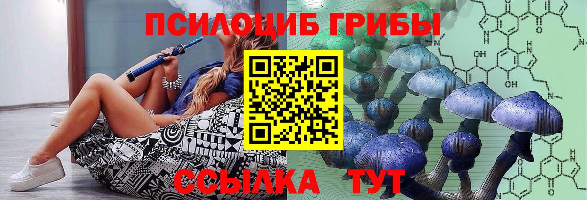 Галлюциногенные грибы GOLDEN TEACHER Таганрог